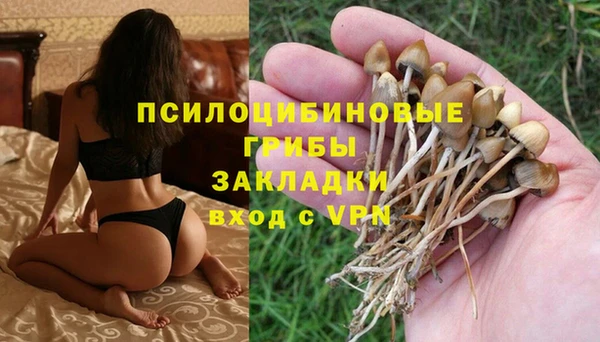 ГАЛЛЮЦИНОГЕННЫЕ ГРИБЫ Алзамай