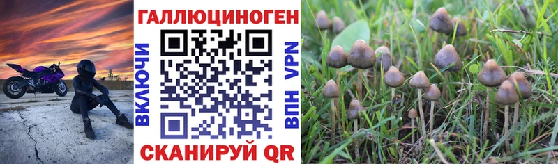 Псилоцибиновые грибы Psilocybine cubensis  хочу наркоту  Арамиль 